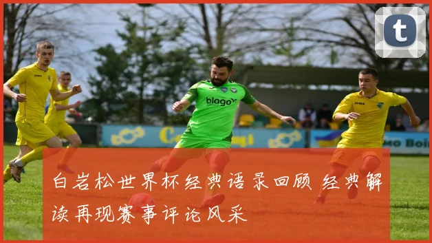 白岩松世界杯经典语录回顾 经典解读再现赛事评论风采
